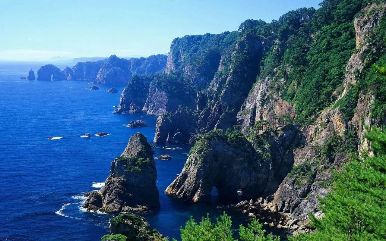 高性能独特智慧